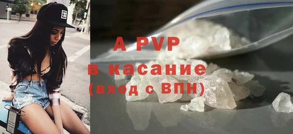 индика Няндома