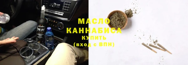 индика Няндома