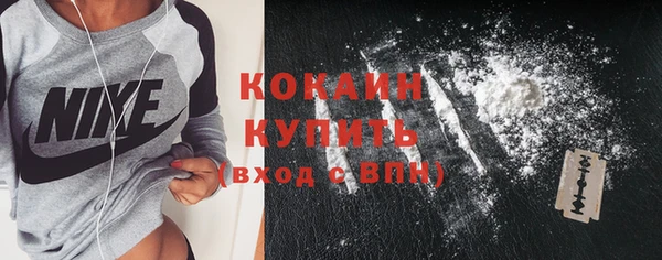 индика Няндома